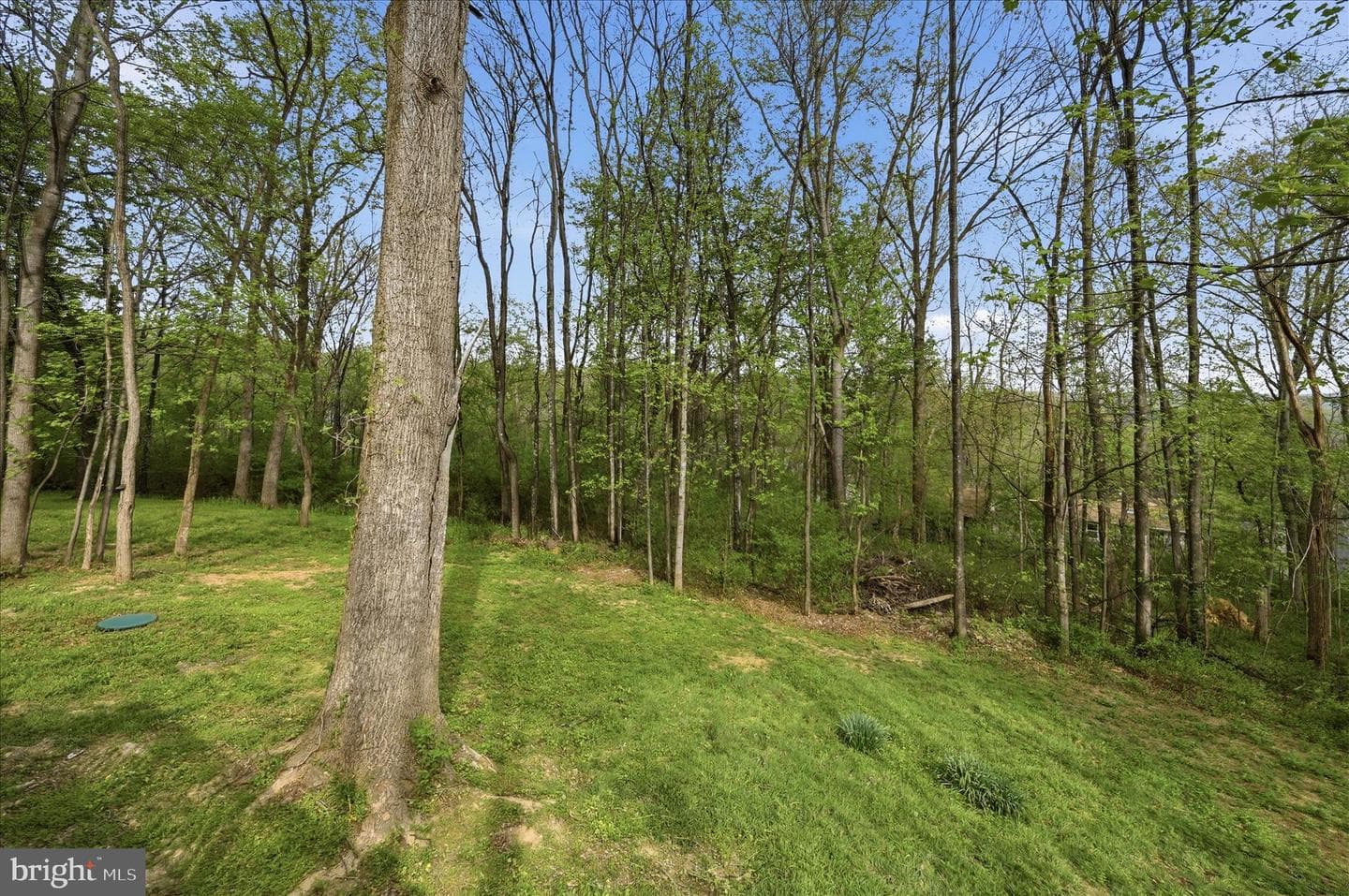 105 Buckskin Trail photo 38
