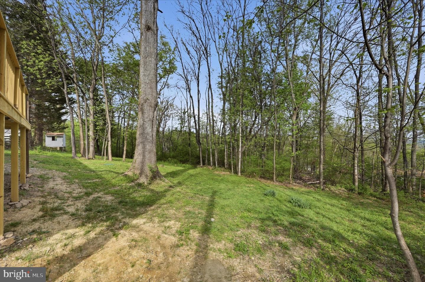 105 Buckskin Trail photo 40