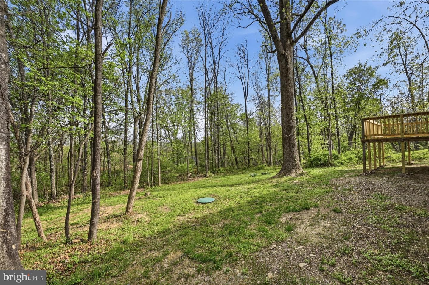 105 Buckskin Trail photo 41