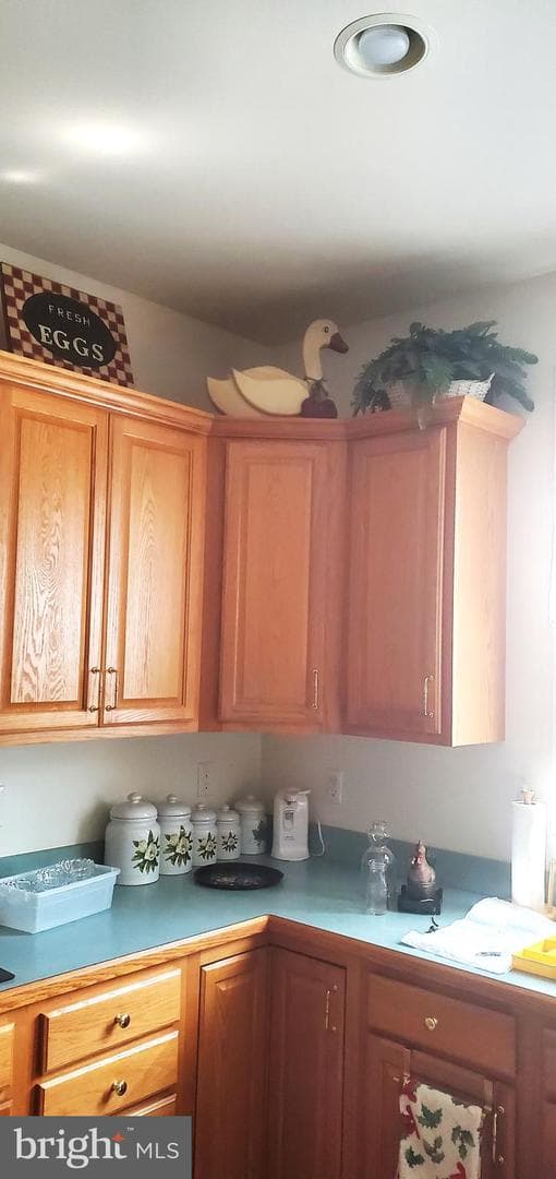 153 Harvest Ridge Drive photo 11