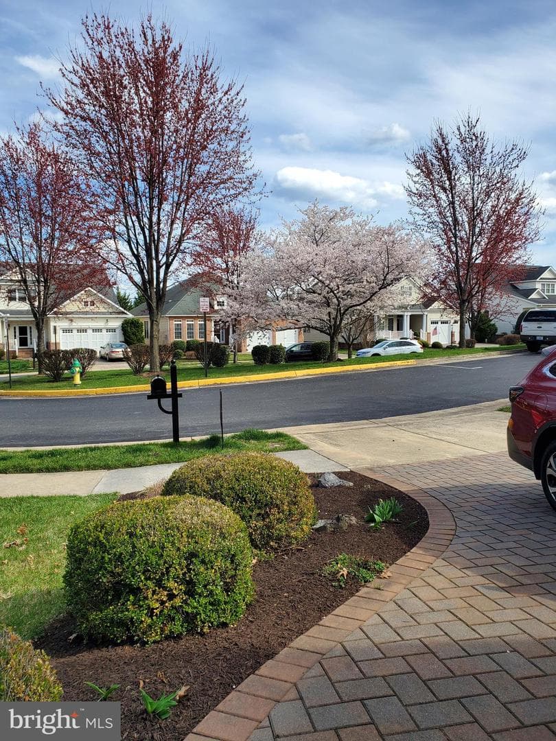 153 Harvest Ridge Drive photo 31