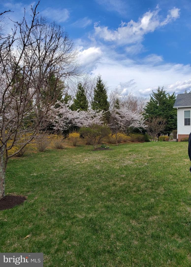 153 Harvest Ridge Drive photo 33