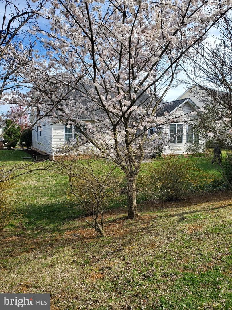 153 Harvest Ridge Drive photo 6