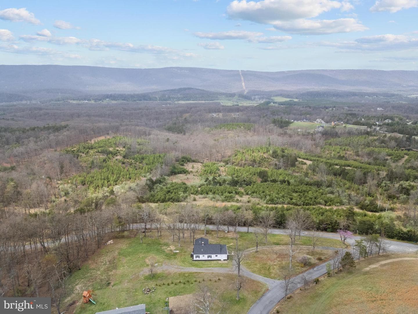 3221 Laurel Grove Road photo 2