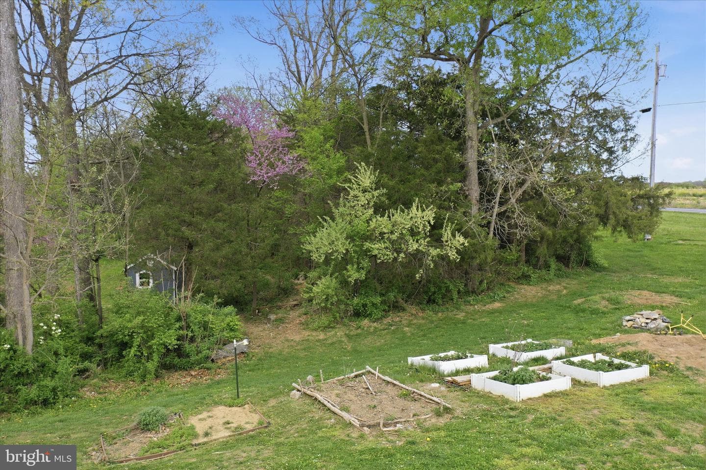 201 Liberty Lane photo 41