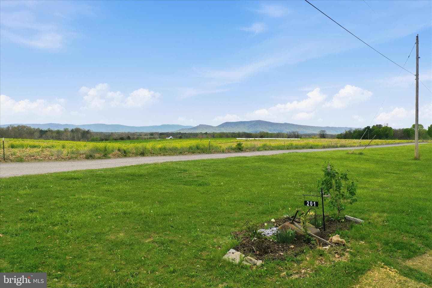 201 Liberty Lane photo 44