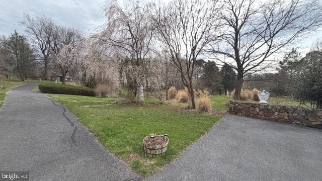 234 Hopewell Road photo 39