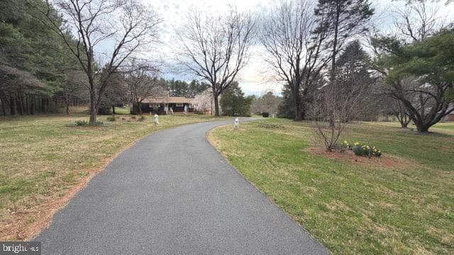 234 Hopewell Road photo 43