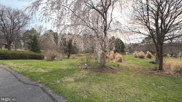 234 Hopewell Road photo 48
