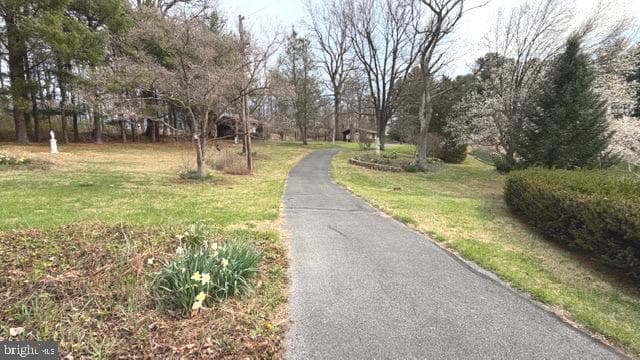 234 Hopewell Road photo 49