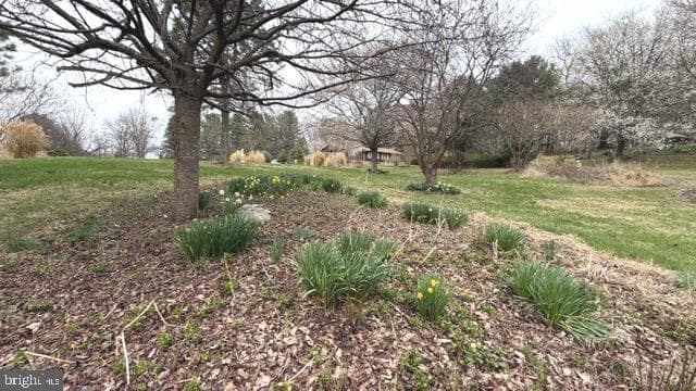 234 Hopewell Road photo 5