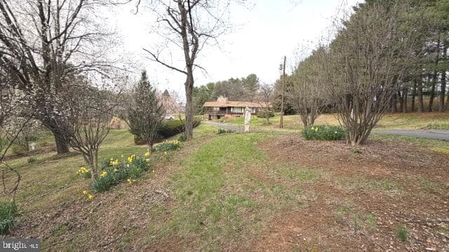 234 Hopewell Road photo 53