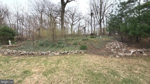 234 Hopewell Road photo 58