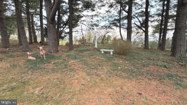 234 Hopewell Road photo 66