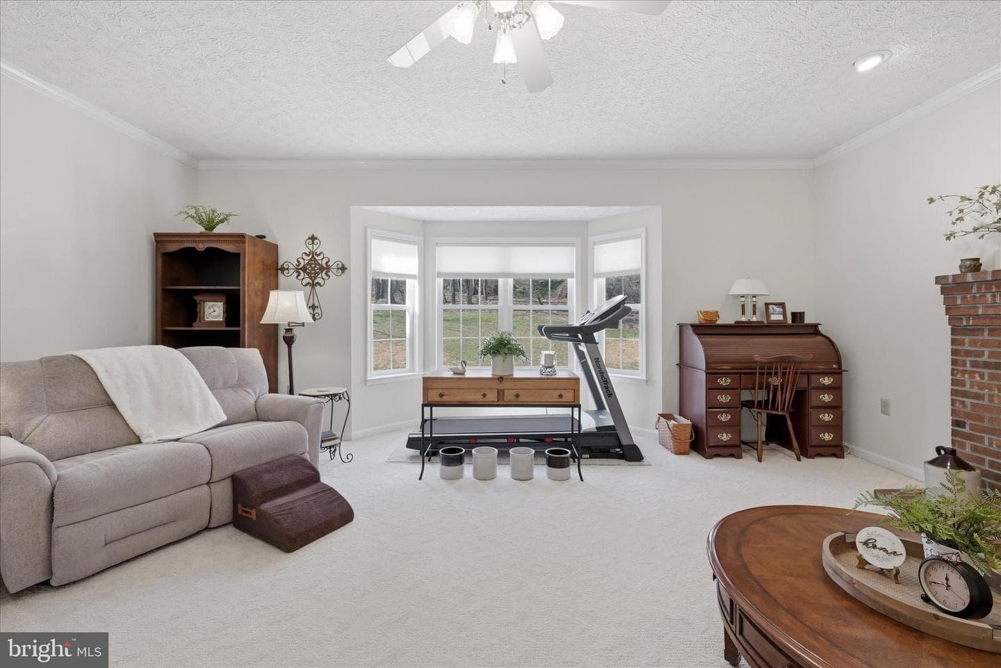 155 Bunchberry Ridge Court photo 18
