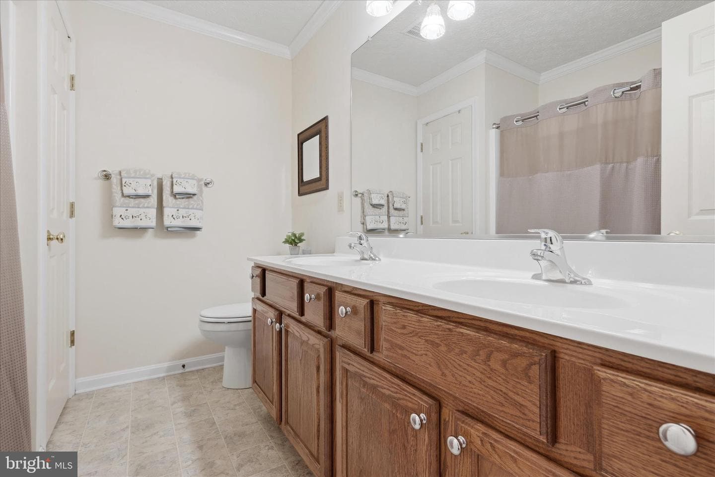 155 Bunchberry Ridge Court photo 40