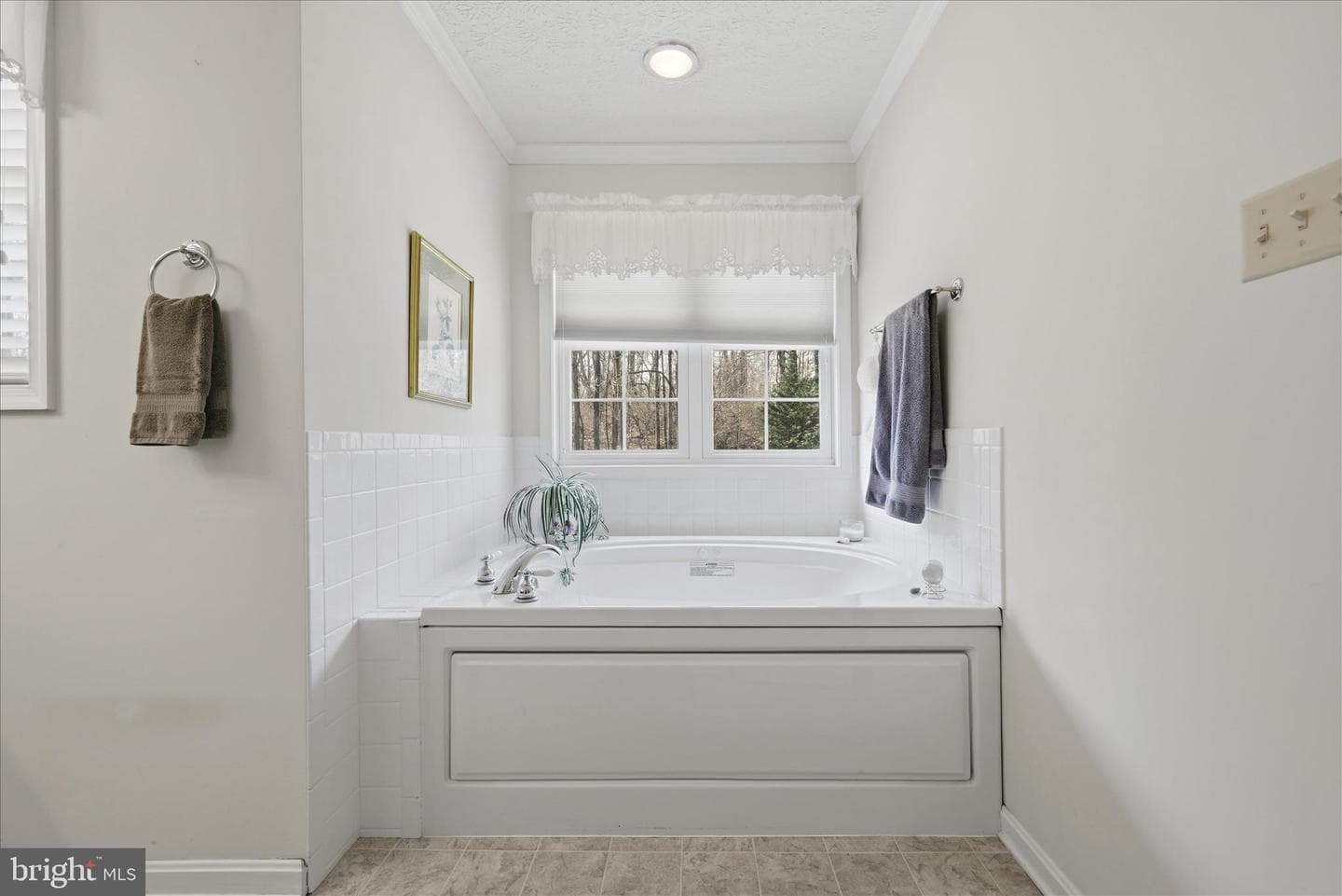 155 Bunchberry Ridge Court photo 46
