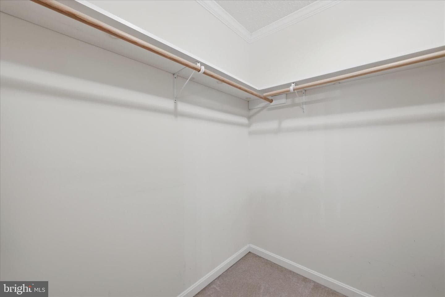 155 Bunchberry Ridge Court photo 49