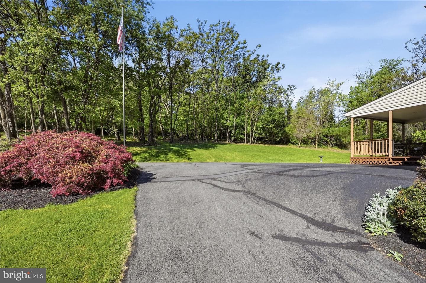 155 Bunchberry Ridge Court photo 59