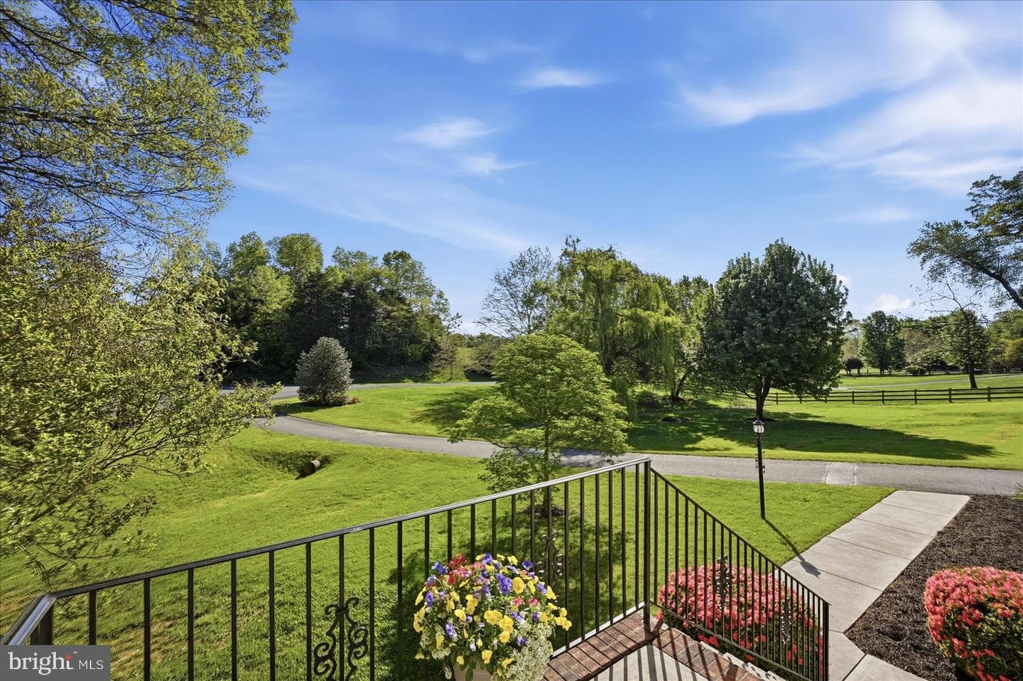155 Bunchberry Ridge Court photo 9