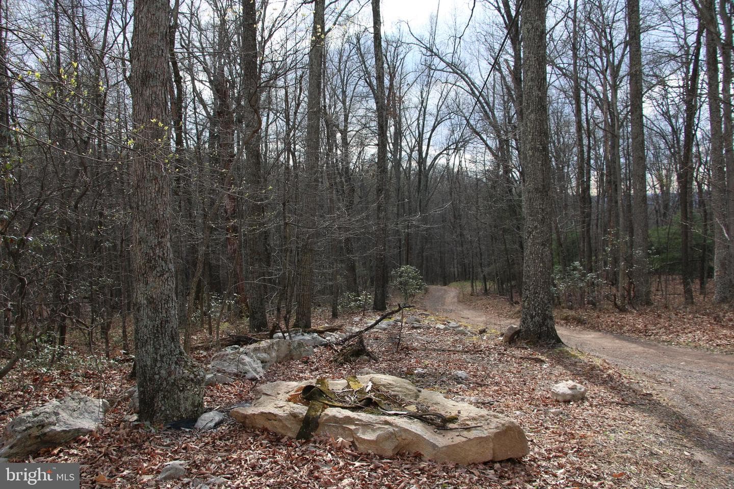 680 Sawlog Road photo 38