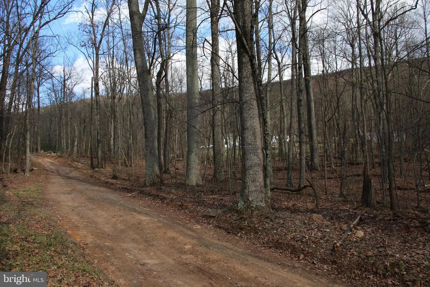 680 Sawlog Road photo 39