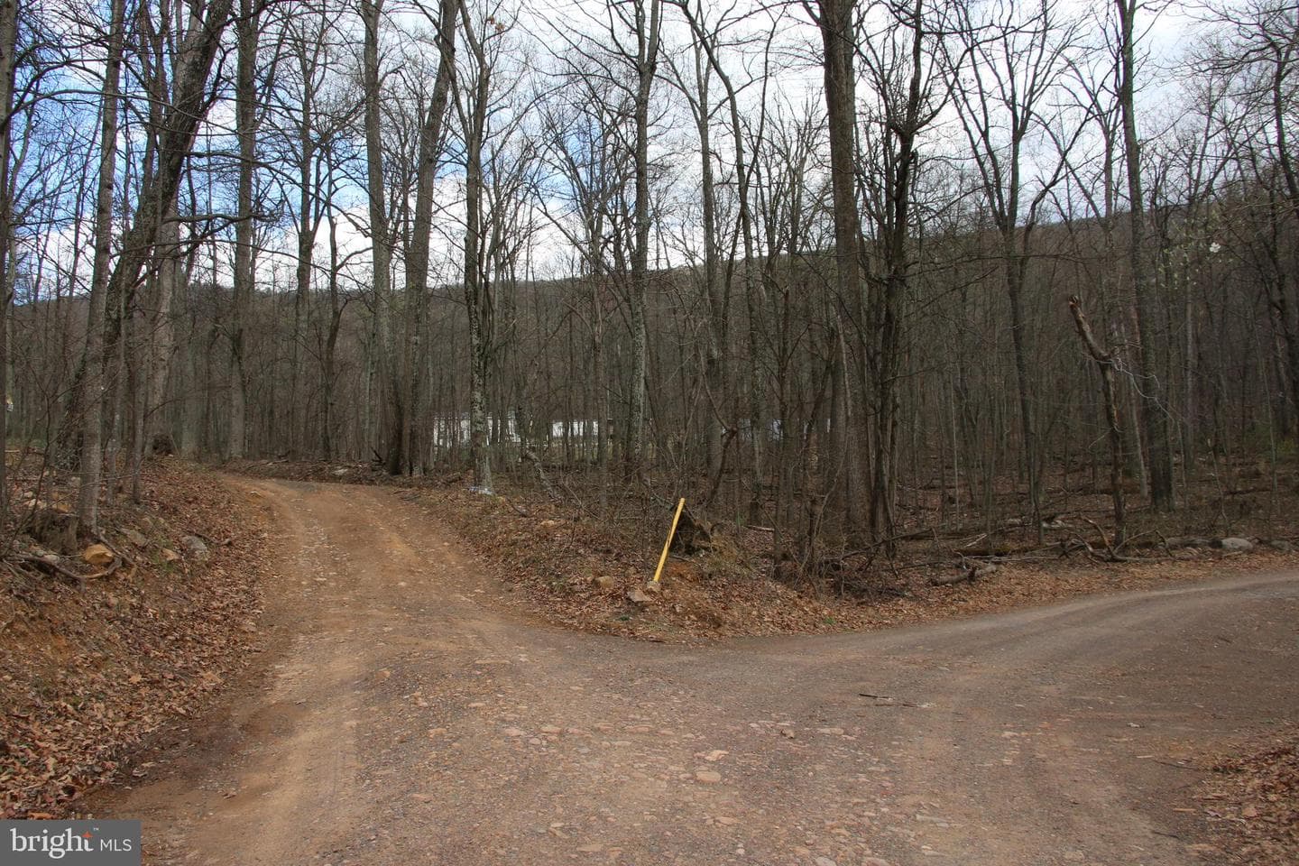 680 Sawlog Road photo 41