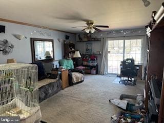 127 Buchannan Drive photo 19