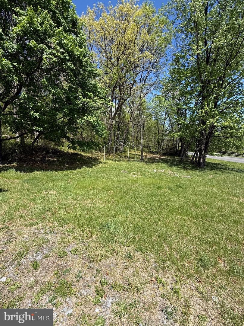557 Frog Hollow Road photo 6