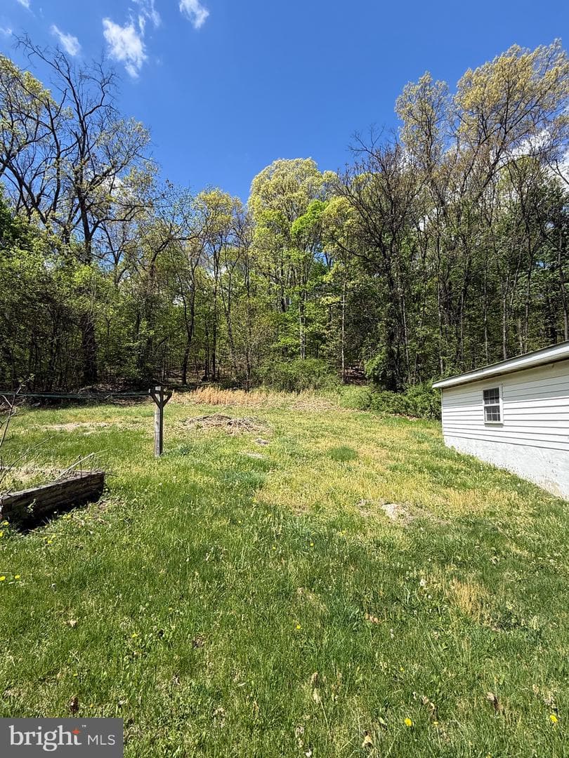 557 Frog Hollow Road photo 7