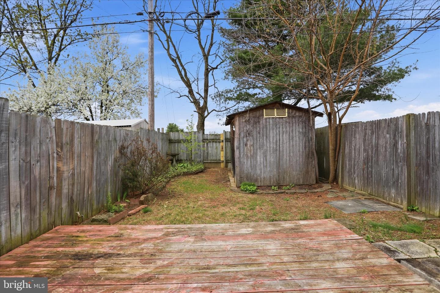 402 Carroll Drive photo 17