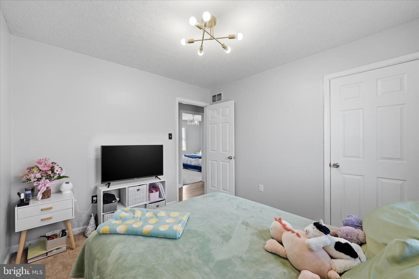 203 Ivory Drive photo 18