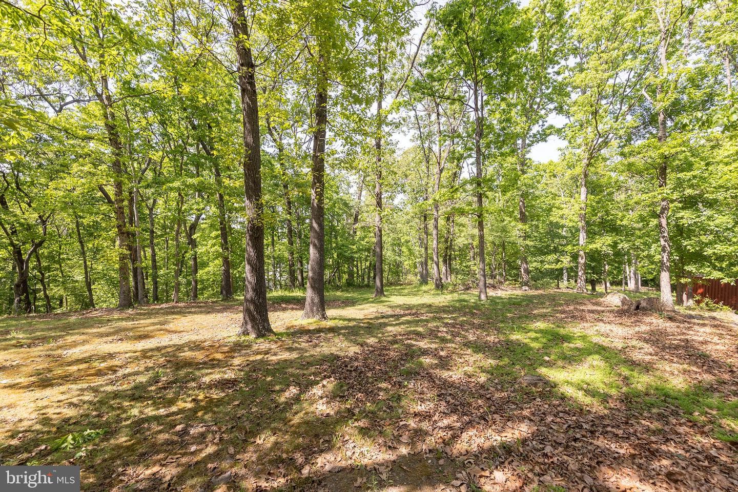430 Babbs Mountain Road photo 2