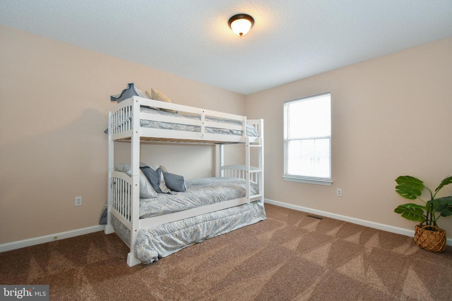 407 Emily Lane photo 13