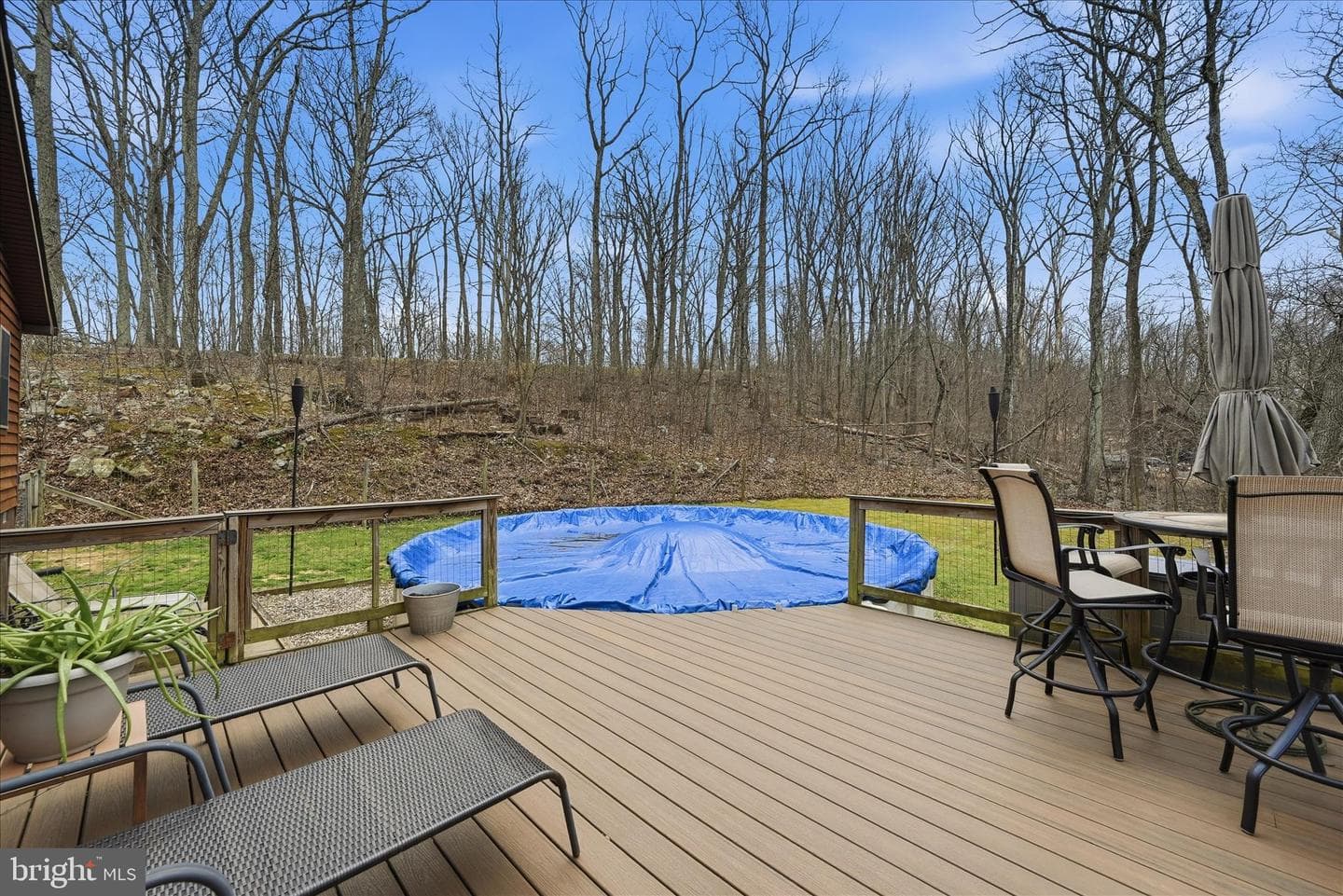 320 Shawnee Trail photo 10