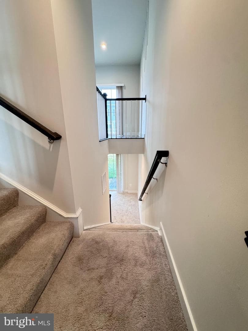 118 Twinleaf Way photo 18