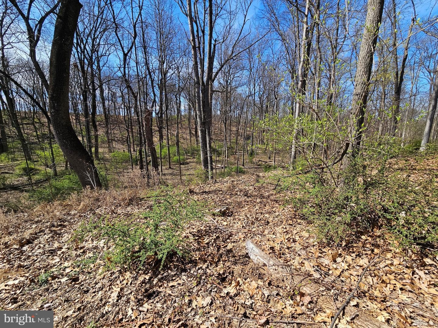 274 Woodside Lane photo 87