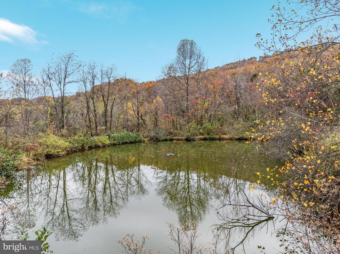 291 Capon Springs Grade photo 47