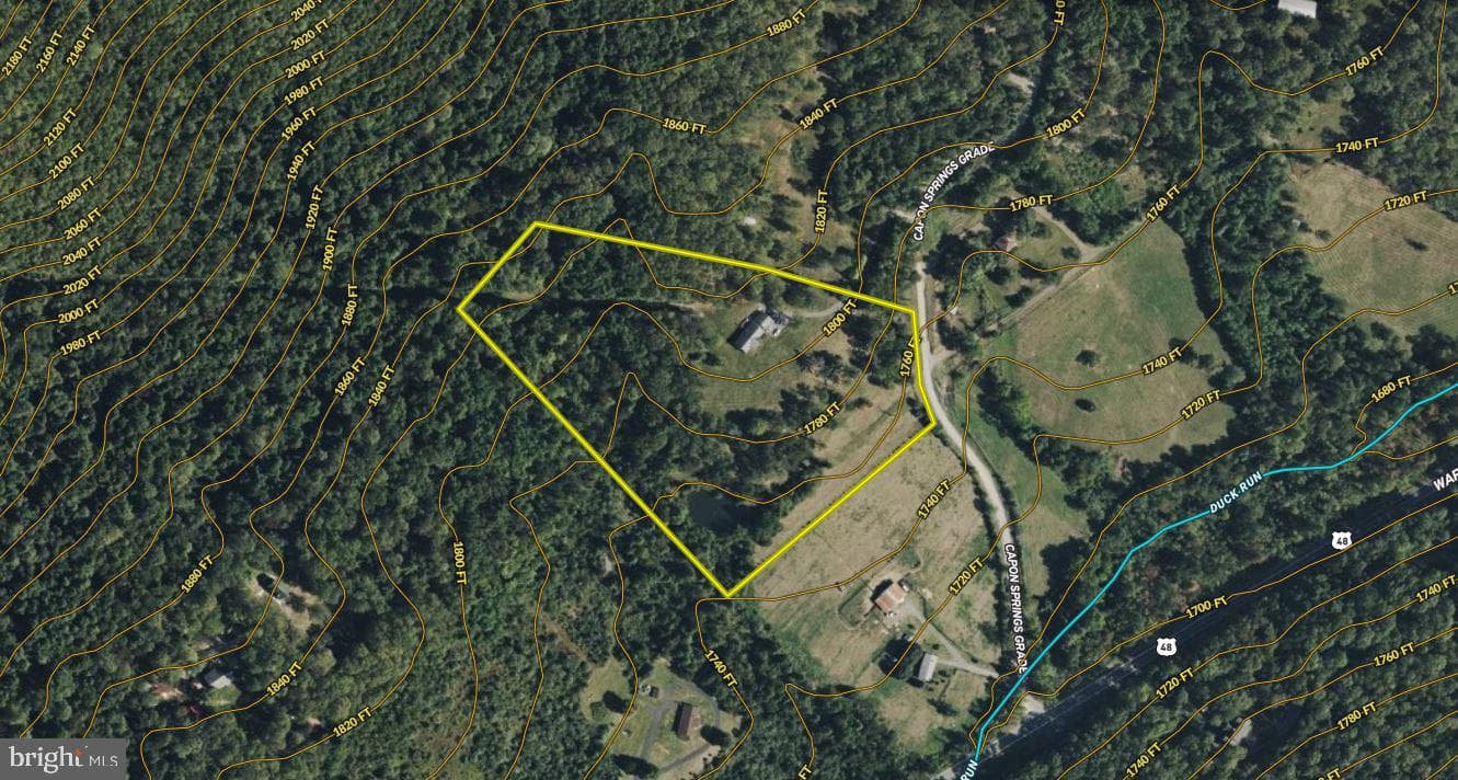 291 Capon Springs Grade photo 52