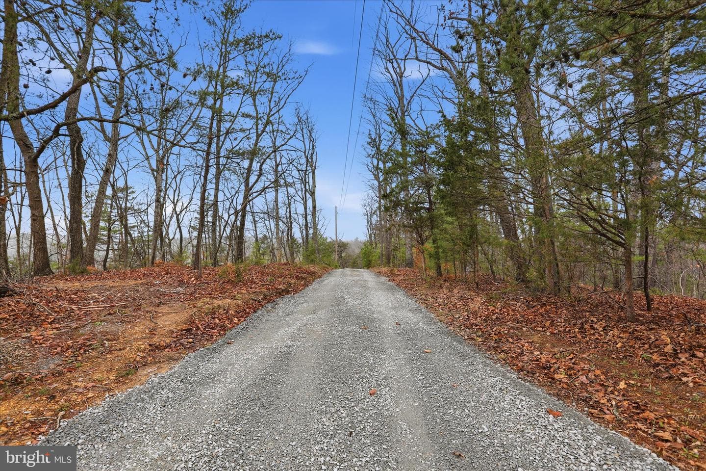 1310 Siler Road photo 43