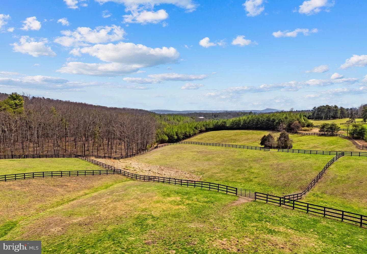 632 Dry Creek Lane photo 4
