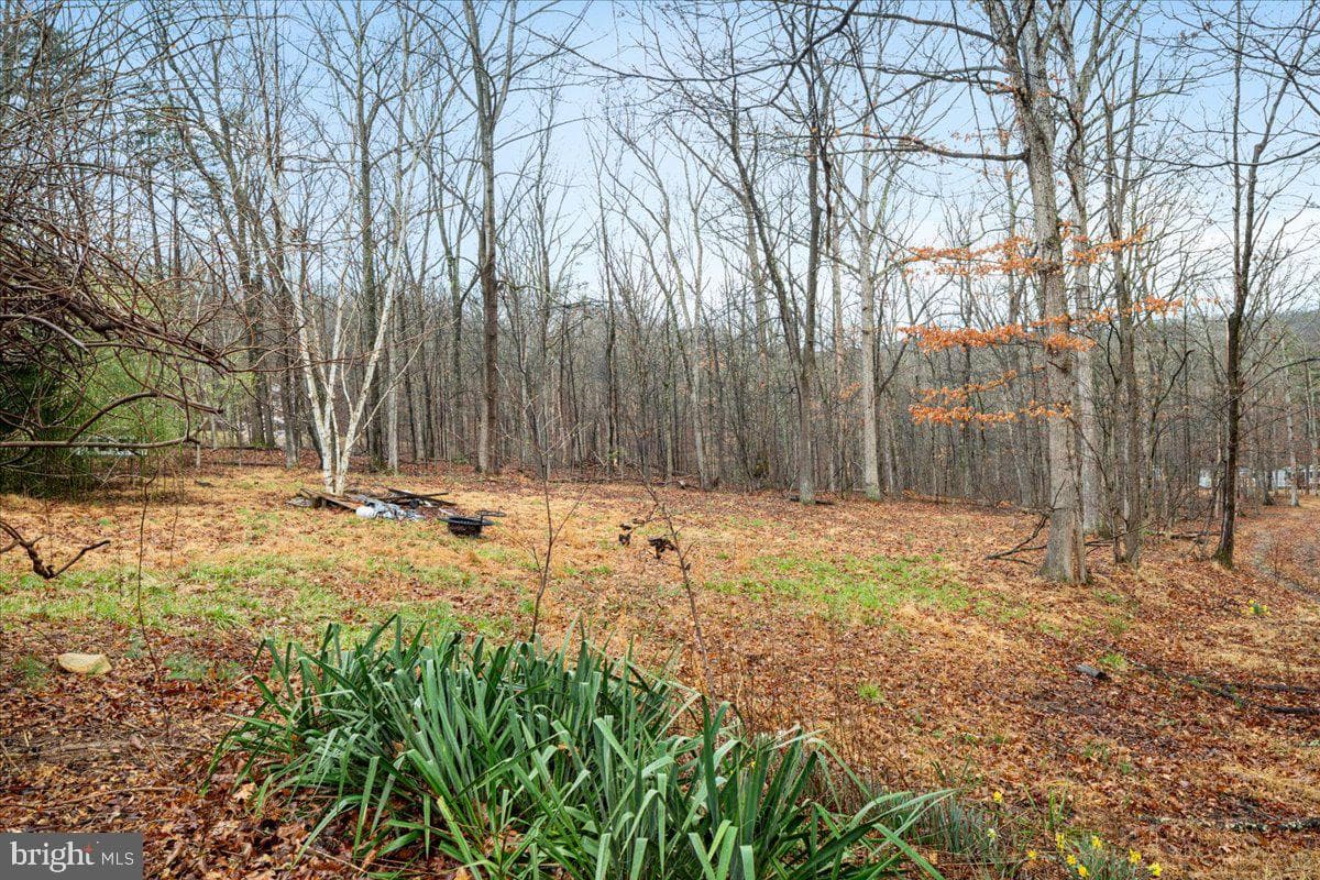 297 Deer Run Road photo 21