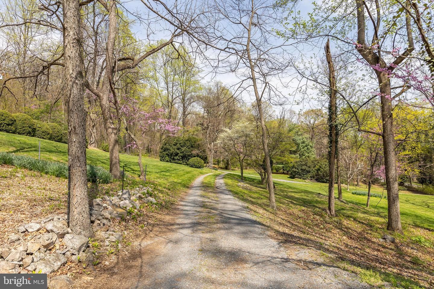 1460 Pitcock Lane photo 102