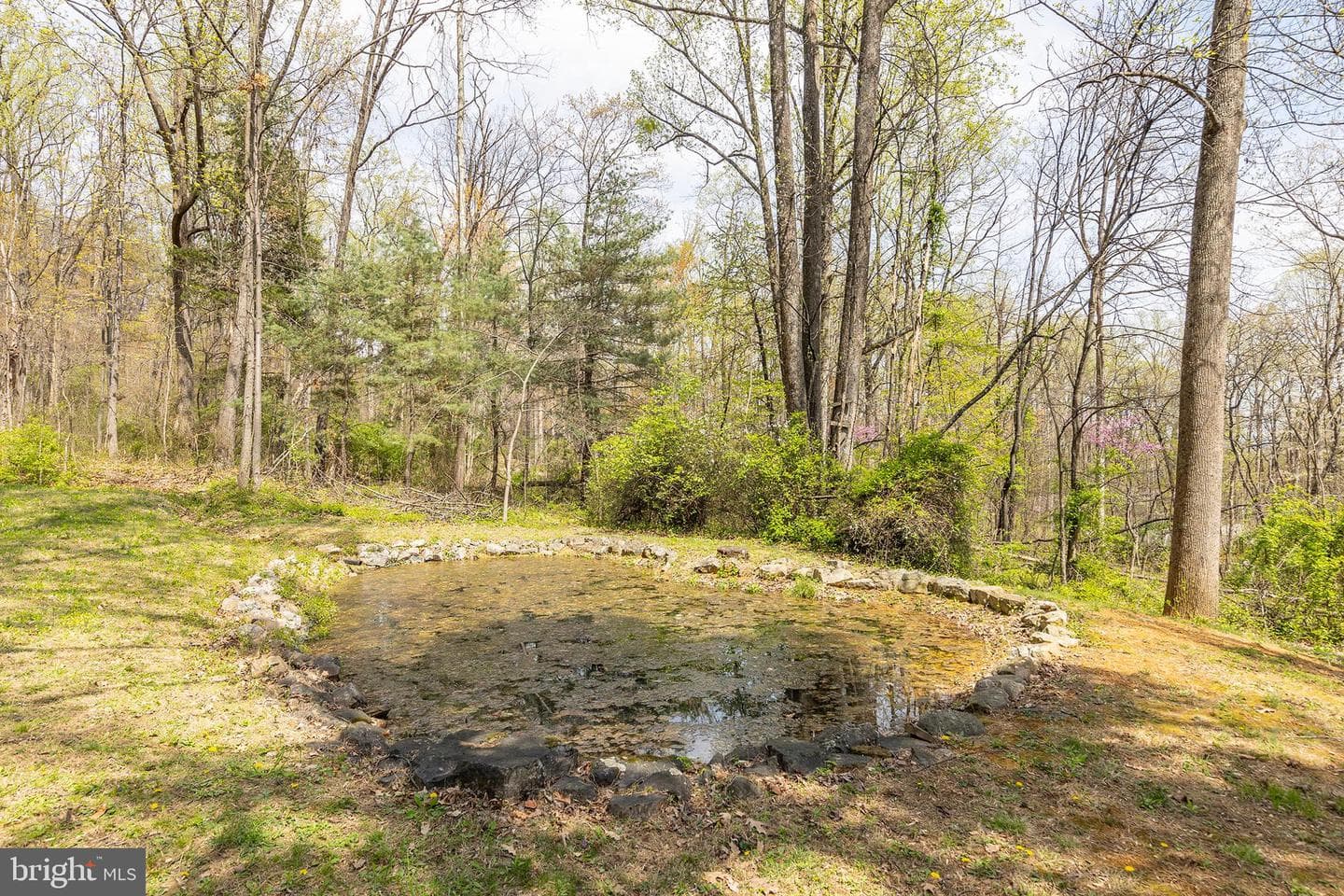 1460 Pitcock Lane photo 84