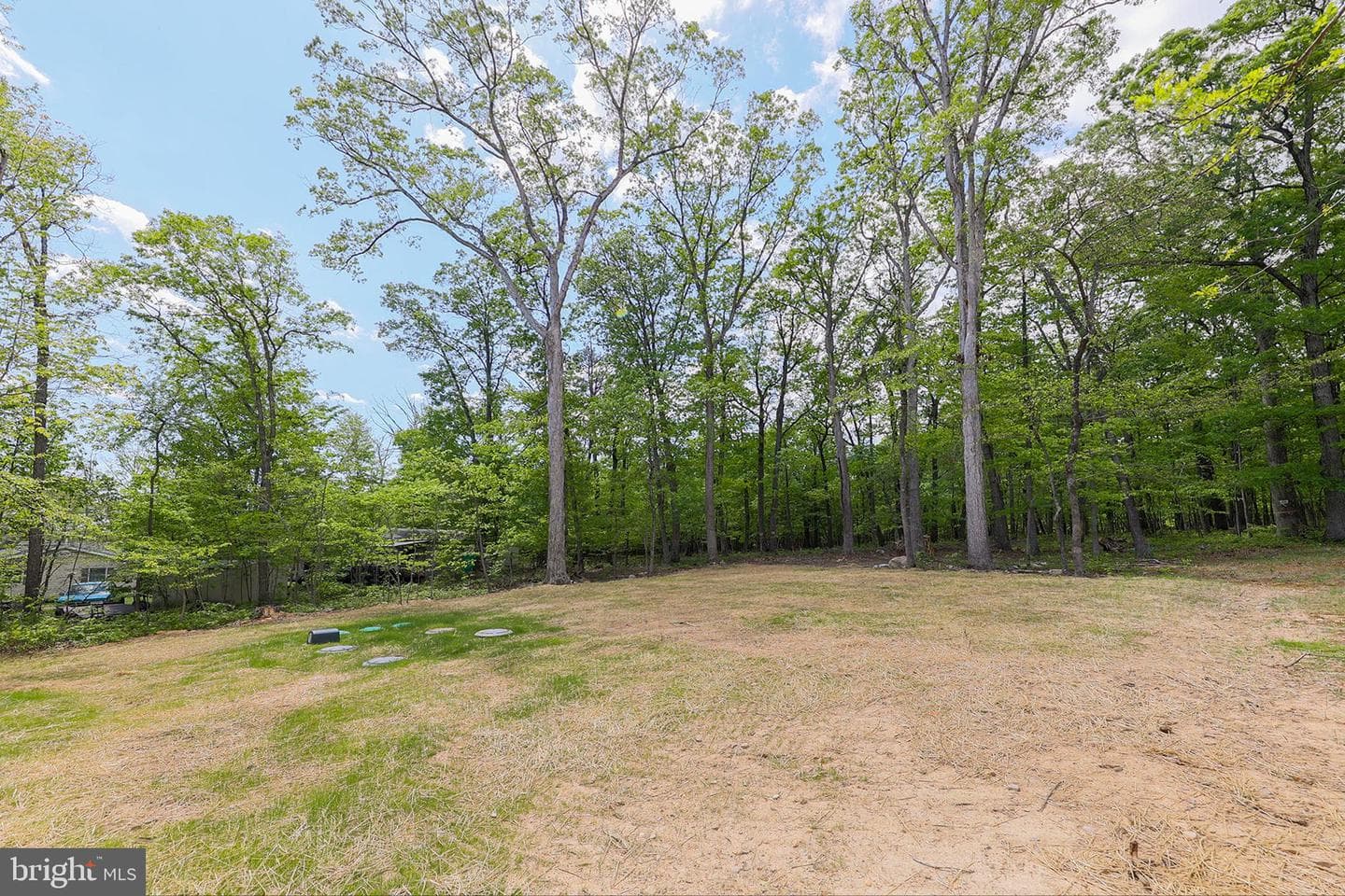 231 Winchester Drive photo 28