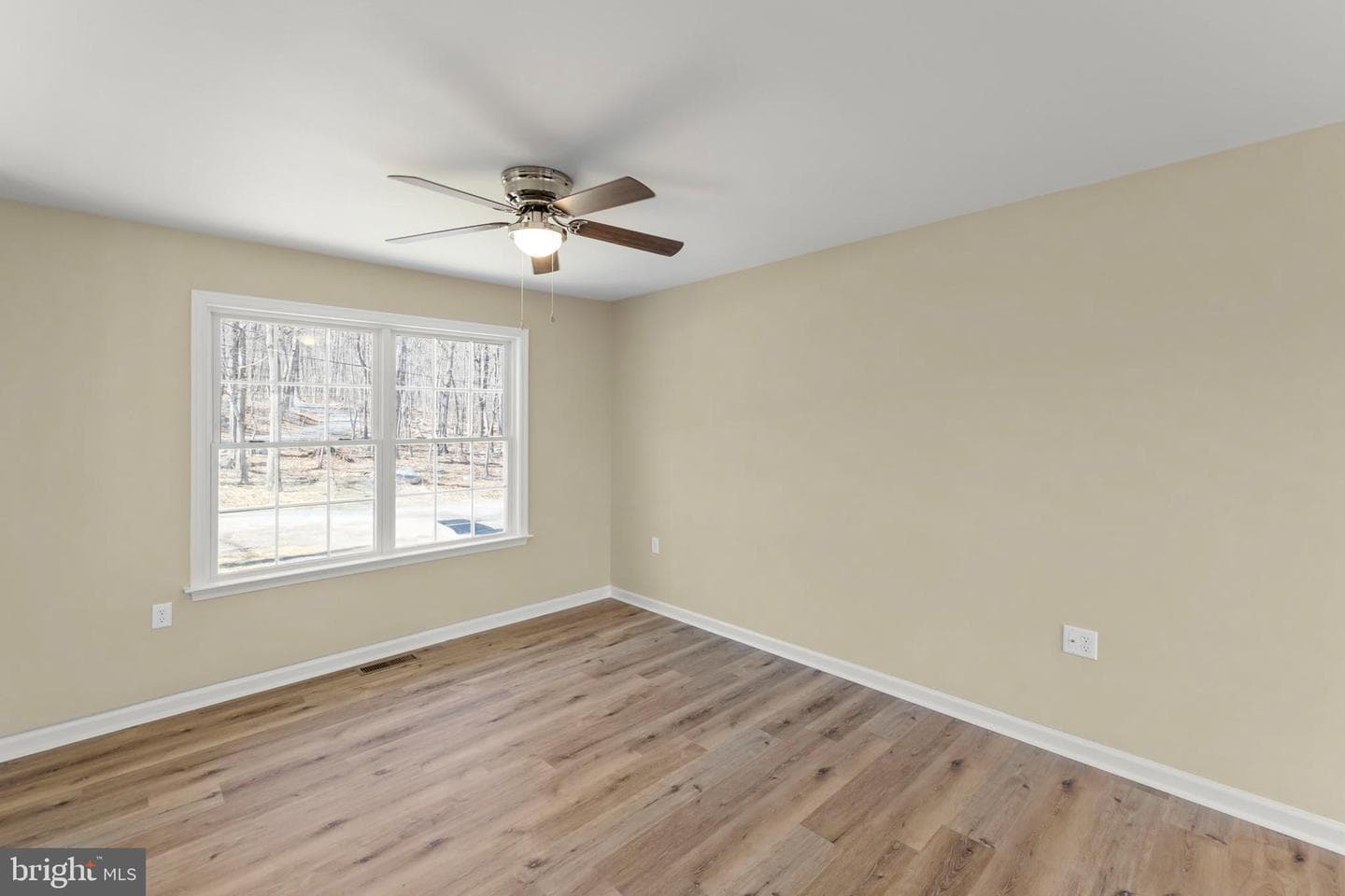 231 Winchester Drive photo 4