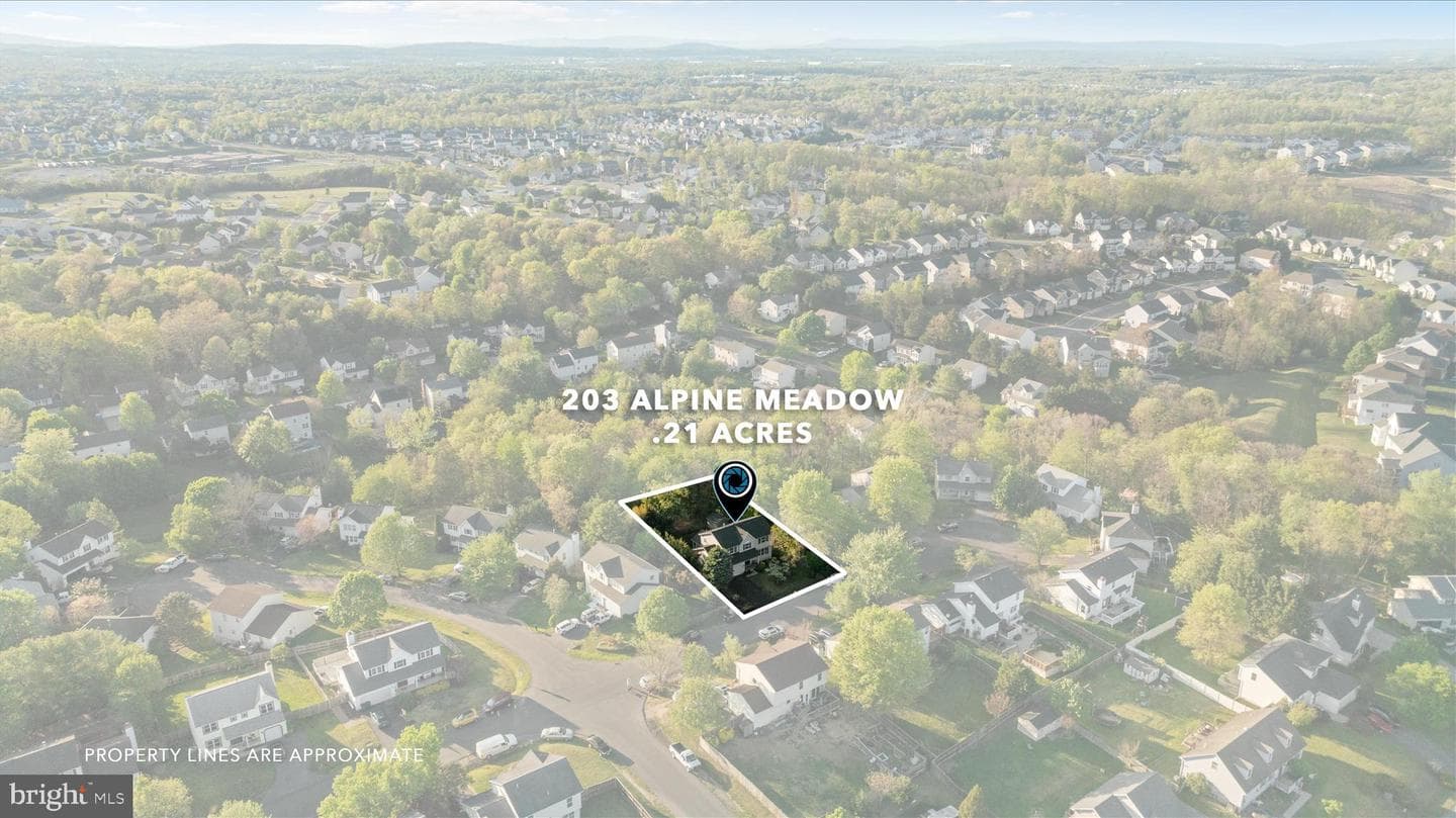 203 Alpine Meadow Road photo 77