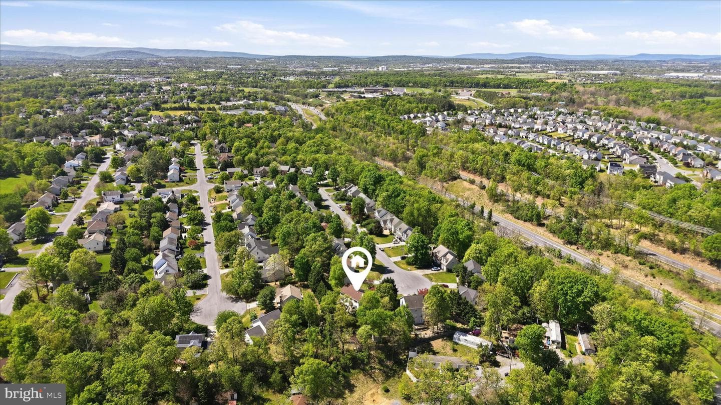 228 Cavalry Drive photo 4