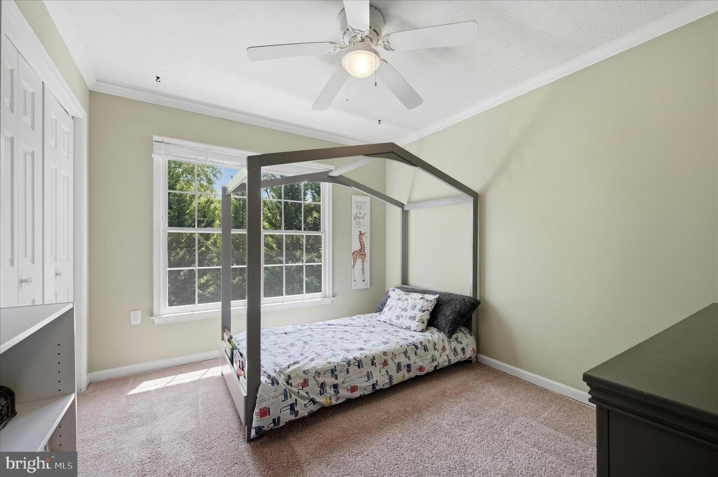 228 Cavalry Drive photo 44
