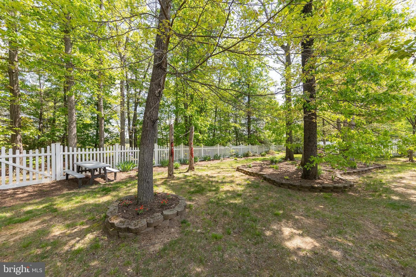 103 Boydton Plank Drive photo 3